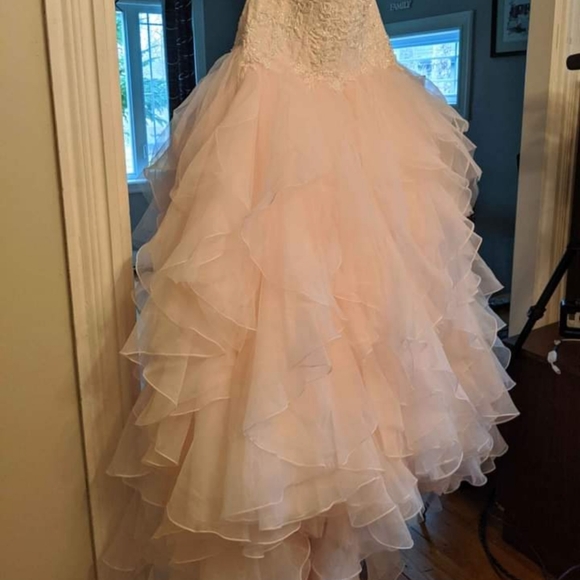 Oleg Cassini wedding dress in blush: Style 8CWG568 - Picture 6 of 8